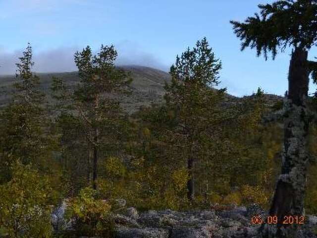 Дома для отпуска Holiday Home Lomaylläs b39 -suppapolku 6b Юллясярви-38